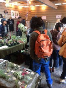 BORDER BREAK!! SPECIES NURSERY &STRAIGHT